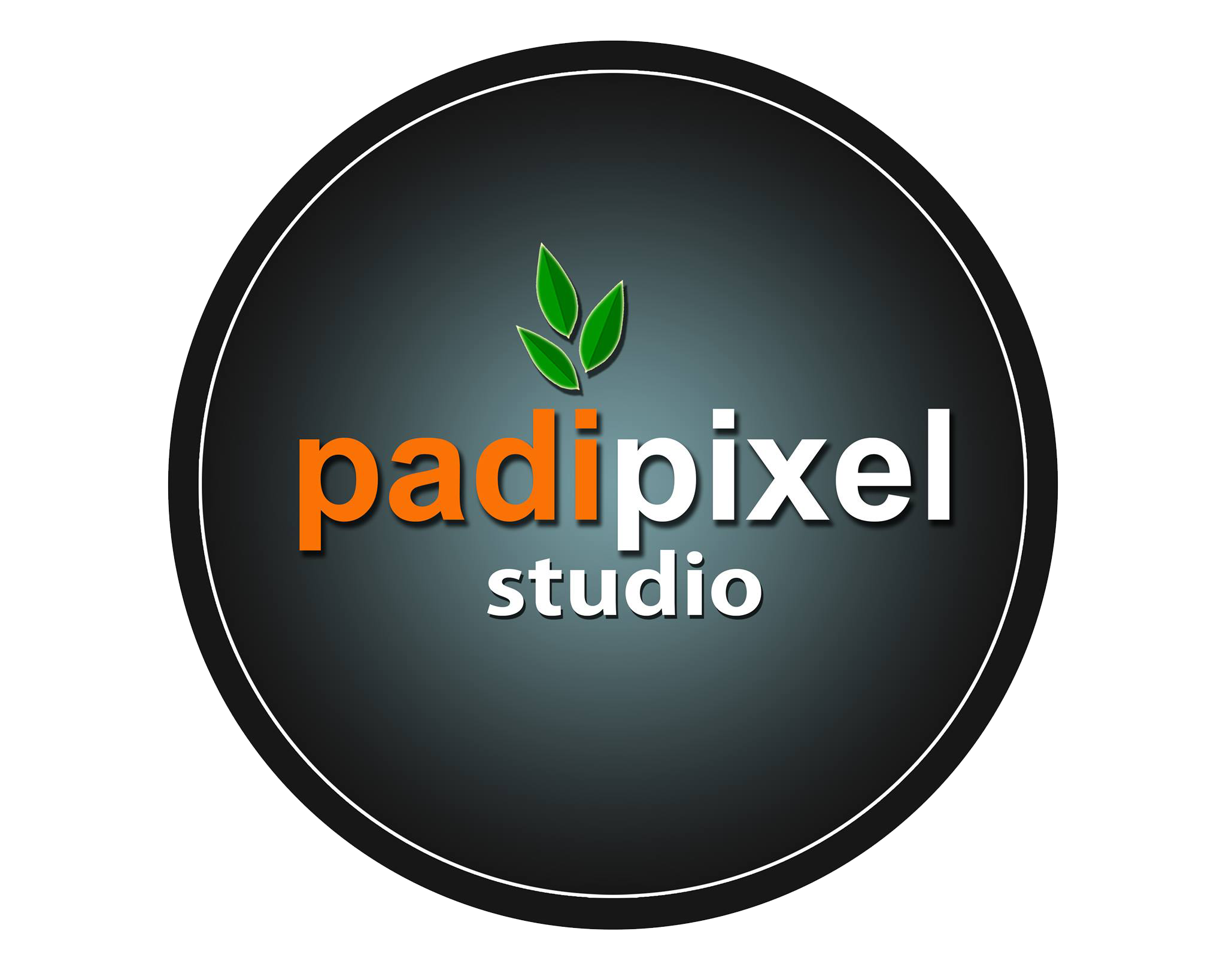 Logo rasmi Padi Pixel Studio
